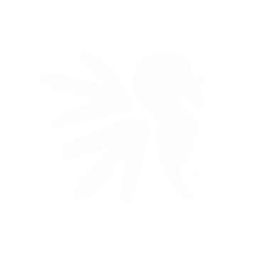 NWTF