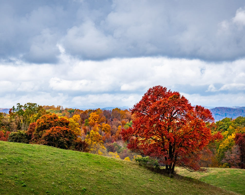 1,510 Positively Impacted Acres in Pennsylvania